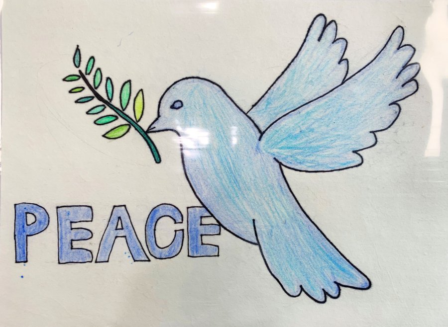 평화의 새